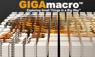 gigamacro